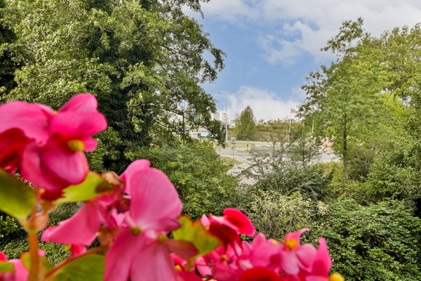 Medium property photo - Leerdamhof 11, 1108 BA Amsterdam